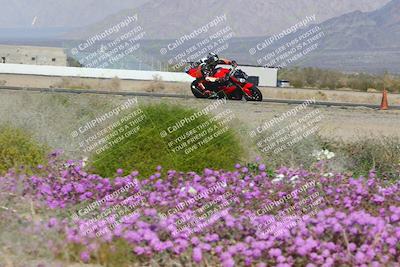 media/Feb-04-2023-SoCal Trackdays (Sat) [[8a776bf2c3]]/Turn 15 Inside Blooming (1050am)/